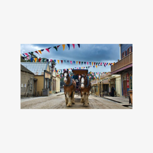 Sovereign Hill, Botanical Gardens and Melbourne Skydeck Bus Tour